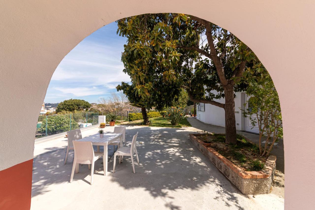 Villa Casa Degli Aranci à Forio di Ischia Extérieur photo