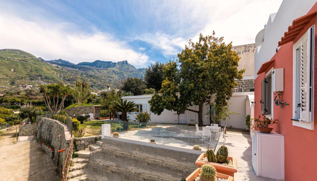 Villa Casa Degli Aranci à Forio di Ischia Extérieur photo